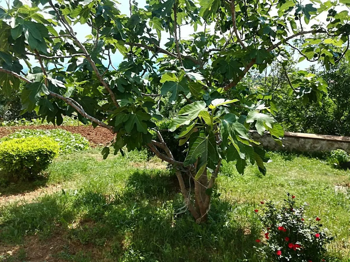 Apartman Darko Novi Vinodolski